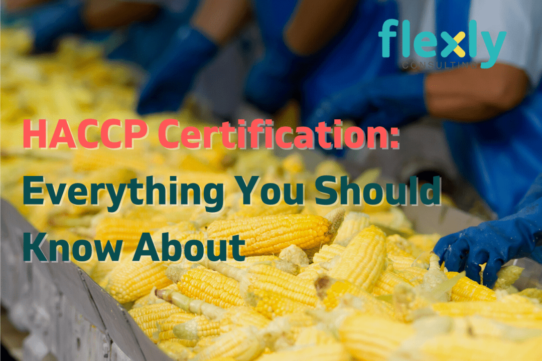 HACCP Certification in Malaysia: Everything You Should Know About