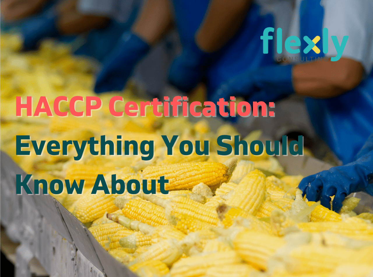HACCP Certification in Malaysia: Everything You Should Know About